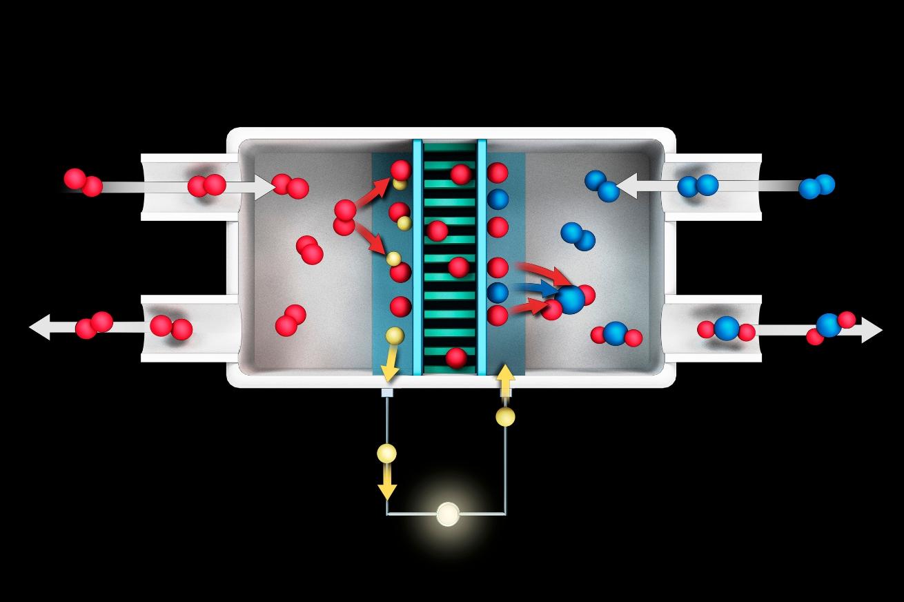 Hydrogen Fuel Cell Research and Training at UP